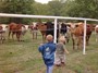 Kids and longhorns go together like peanut butter and jelly.